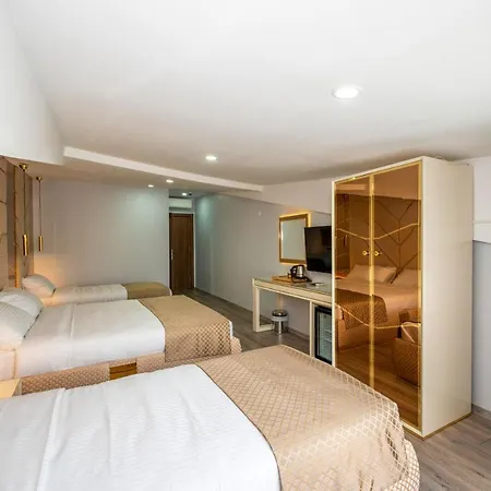 Hotel Luxury Airport By Zazzoni-istanbul Airport 3*