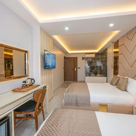 Hotel Luxury Airport By Zazzoni-istanbul Airport 3*